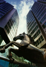 Office Photograph